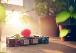 Dive Into Raspberry Pi A Beginner’s Step-by-Step Guide