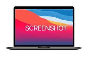screenshot on laptop