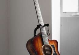 sun bust guitar, placed near the window.