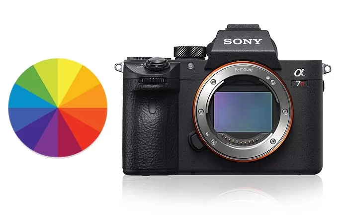 Image of a Color wheel and Sony camera. The 2 Best Picture Profiles for Sony Cameras