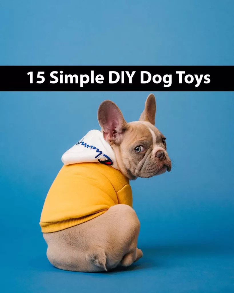 15 Quick DIY Dog Toys Using Everyday Household Items